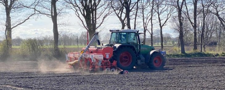 Vogelfutter anstelle von Mais:  Schüler bringen profitablen Naturschutz in die Landwirtschaft