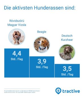 Statistik: So oft gehen die Deutschen Gassi