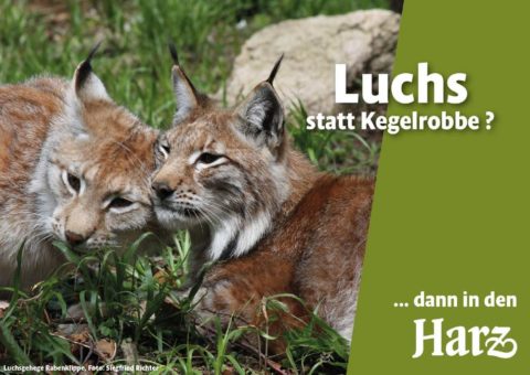 Glück auf oder Moin?