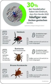 Zunehmende Ausbreitung von Zecken in Deutschland / Hunde vor übertragbaren Krankheiten schützen