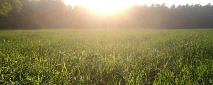 Landwirte sehen rot!