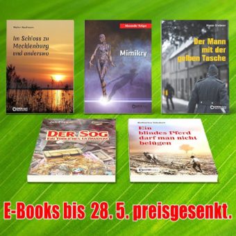 Eine Ingenieurin in Lebensgefahr, Ratten und Rechnungen sowie ein zuverlässiger Mann – Fünf E-Books von Freitag bis Freitag zum Sonderpreis