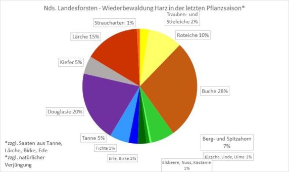 Länger als geplant: Pflanzsaison im Harz schafft 1,67 Millionen neue Bäume