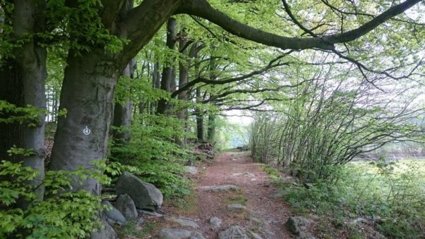 Geo-Naturpark Bergstraße-Odenwald feiert Europäische Geopark-Woche mit Angeboten für eigene Erkundungstouren