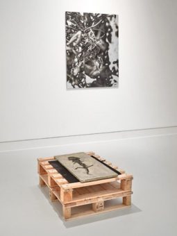 Die Kunsthalle Mainz heißt Sie Herzlich Willkommen!