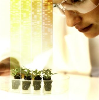 Bayer fördert mit Grants4Ag-Programm einzigartige Ideen für den Pflanzenschutz