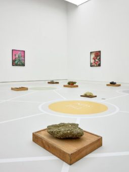Rundgänge durch die Ausstellung