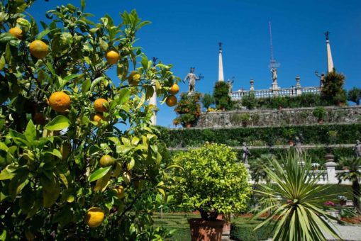Gartenfantasien am Lago Maggiore – und Tee