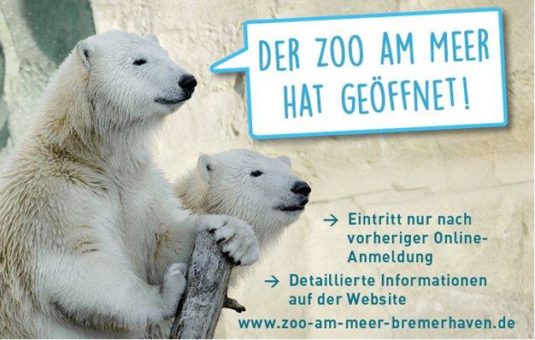 Weiterhin Online-Anmeldung für einen Besuch im Zoo am Meer notwendig
