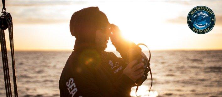 Schützen, was uns wichtig ist – Baltic Sea Campaign setzt sich für den Erhalt der Ostsee ein