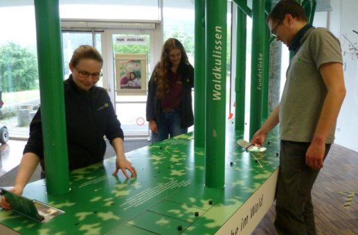 Sonderausstellung im NationalparkZentrum: Spurensuche im Wald der Wildlandstiftung Bayern