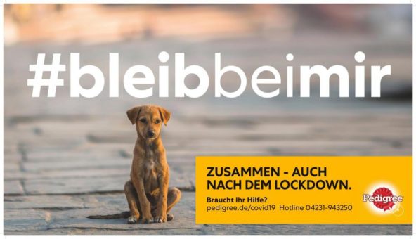 Mars Petcare startet Kampagne #bleibbeimir, damit Hunde und Katzen nach Corona nicht auf der Strecke bleiben