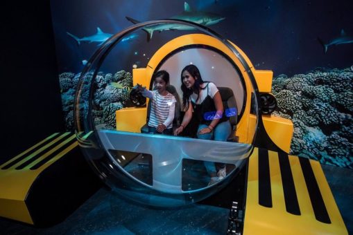 Ozeane: Eine Reise in verborgene Welten