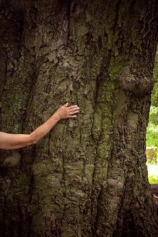 Beim „Waldbaden“ dem Alltag entfliehen