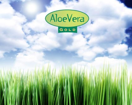 Mit Aloe Vera fit durch den Sommer