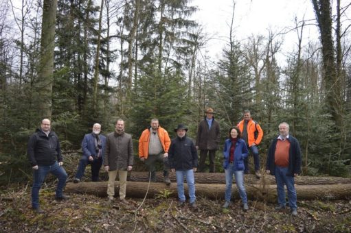 Der Landeswaldverband Baden-Württemberg zum Tag des Waldes am 21. März