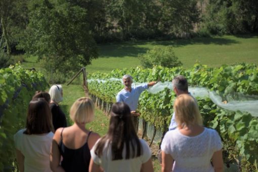 Großer Genuss im „kleinsten Weinberg Bayerns“