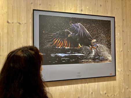 Neue Sonderausstellung „Glanzlichter 2020“ im Nationalparkzentrum Thiemsburg