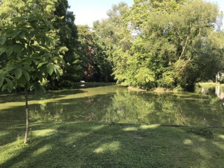 Meditativer Spaziergang im Schlossgarten: Sonderführung am Mittwoch