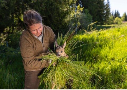 Jäger und Landwirte retten über 90.000 Rehkitze und unzählige weitere Wildtiere