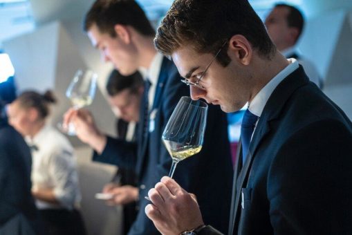 marmite sucht die besten Nachwuchs-Sommeliers der Schweiz!