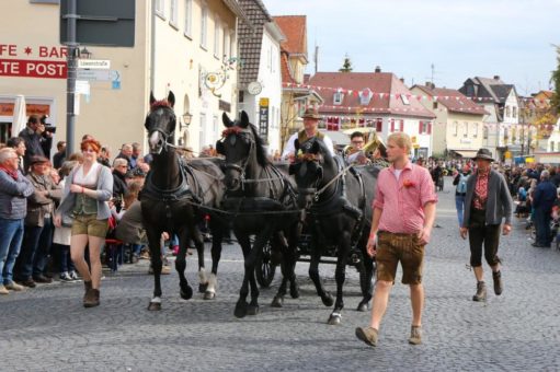 Schussenrieder Fuhrmannstag und Oktoberfest abgesagt!