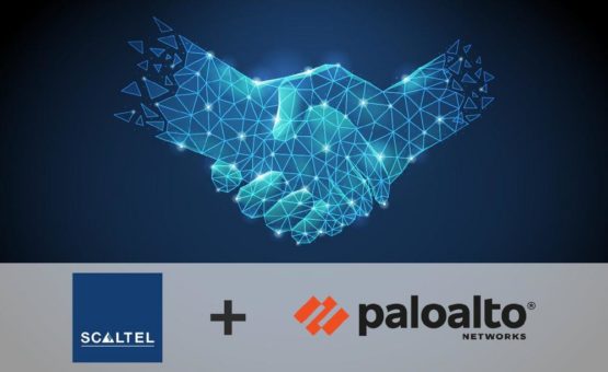 Scaltel unter den Top 10 Partnern von Palo Alto Network