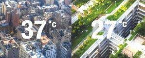 Wie wir Kühlere Temperaturen in den Städten mit Geoplast schaffen