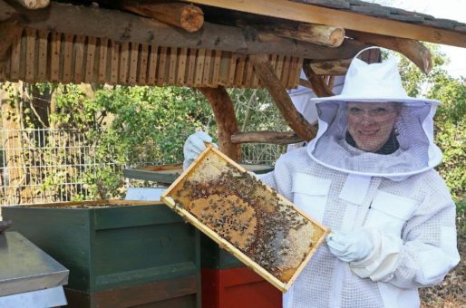Geheimnisse der Bienen, Mondschein und Kostbarkeiten: Führungen am Wochenende