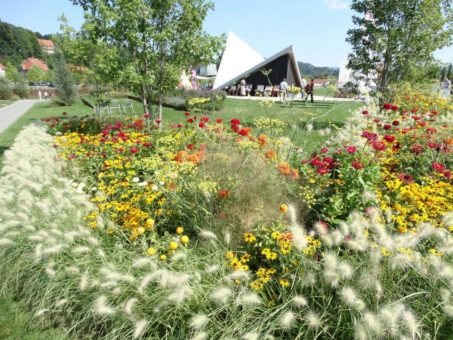 Bund fördert naturnahe Grünflächen in Städten