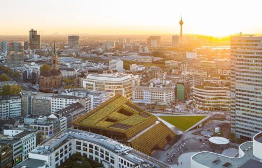 „Einfach Grün. Greening the City“ – 17.9. bis 17.10.2021 in Düsseldorf