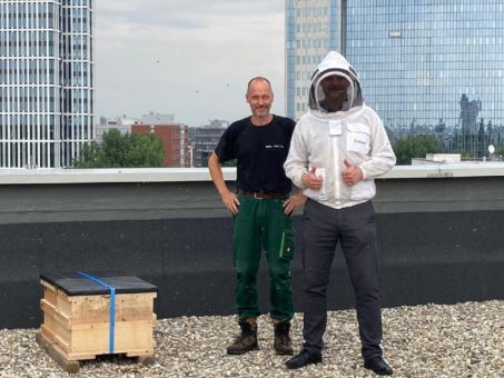 Best Western Plus Welcome Hotel Frankfurt gibt Bienen ein Zuhause
