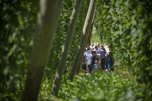 Tourismus in der Hallertau – von Corona geprägt