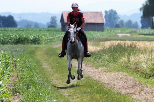 BEMER macht Strecke: Renate Lang gewinnt beim internationalen Distanzreiten über 120 km“