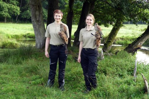 Ab dem 1. August sind sechs neue „Eekholter“ im Wildpark!