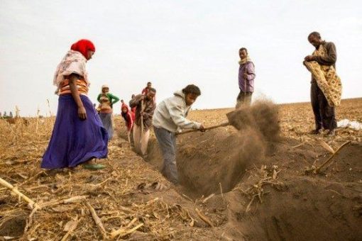 Klimawandel verschlimmert Hungersituation weltweit – Agrarökologie als Ausweg