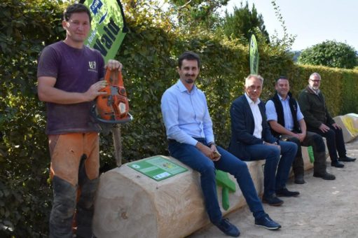 Klimastämme bereichern den Bürger- und Miniaturenpark der Stadt Wernigerode