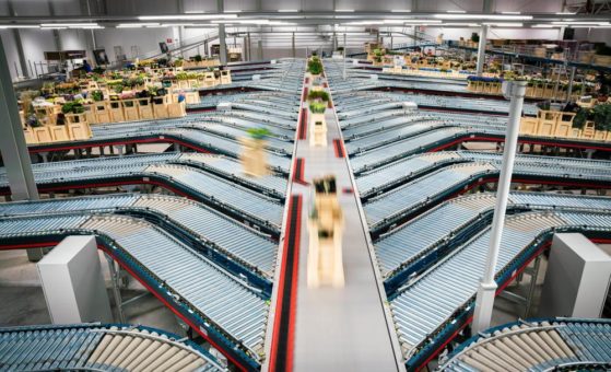 MHS automatisiert zentrales Distributionszentrum der Hoek Group