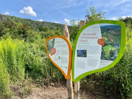 Infotafeln zum Klimawandel im Hainich