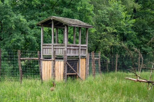 Separee für die Rehe des Wildpark Müden