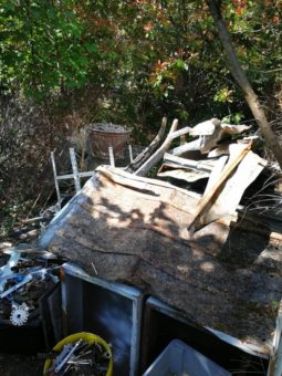 Endlich Zeit zum Entsorgen von Sperrmüll und Unrat in Wohnung und Keller in Köln