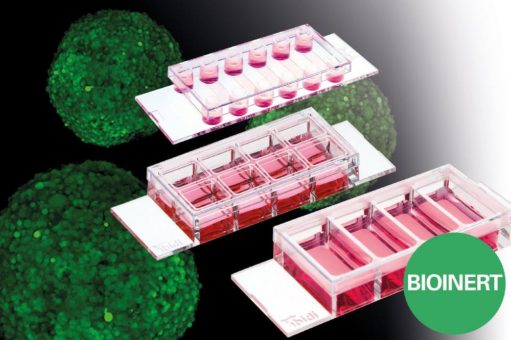 ibidi Produktneuheit: Keine Adhäsion von Suspensionszellen und Sphäroiden – die neuen Bioinert µ-Slides