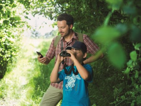 Singen, Balzen, Nisten: Im heimischen Garten Vögel beobachten