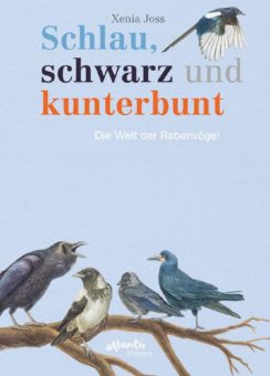 Rabenvögel: Intelligent, kunterbunt und fürsorglich