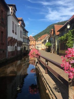 Die zweit älteste Stadt der Pfalz erkunden