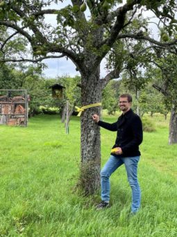 Aktion „gelbes Band“ im Trifelsland