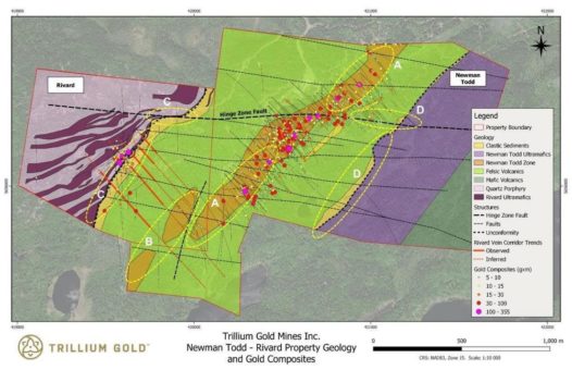 Trillium Gold identifiziert bedeutendes Mineralisierungssystem  im Newman-Todd-Komplex