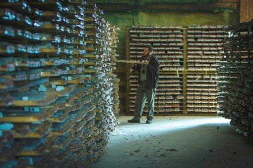 Treasury Metals: Analysten bekräftigen nach Bohrergebnissen Kauf-Rating