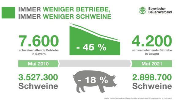 Dann war’s das mit der bayerischen Bratwurst!