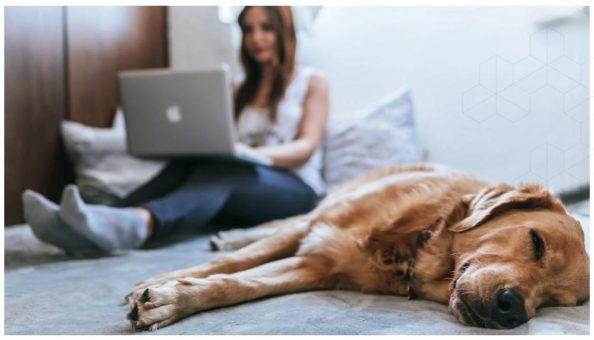 Remote Work – das Ende der Präsenzkultur?